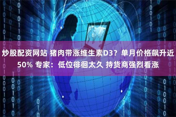 炒股配资网站 猪肉带涨维生素D3？单月价格飙升近50% 专家：低位徘徊太久 持货商强烈看涨